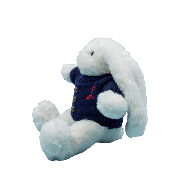Mei Mei The Bunny Plush 4